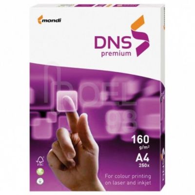 Картон DNS Premium A4 250 л. 160 g/m2